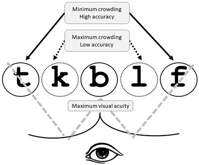 Can the word superiority effect be modulated by serial position and prosodic structure?